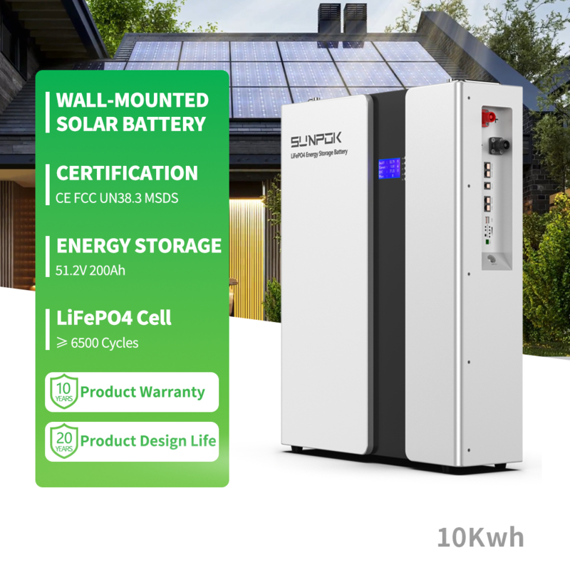 Manufacturer Supply 51.2V 200Ah 10kWh LiFePO4 Battery Lithium Ion Battery Solar Energy Storage System Wall-Mounted